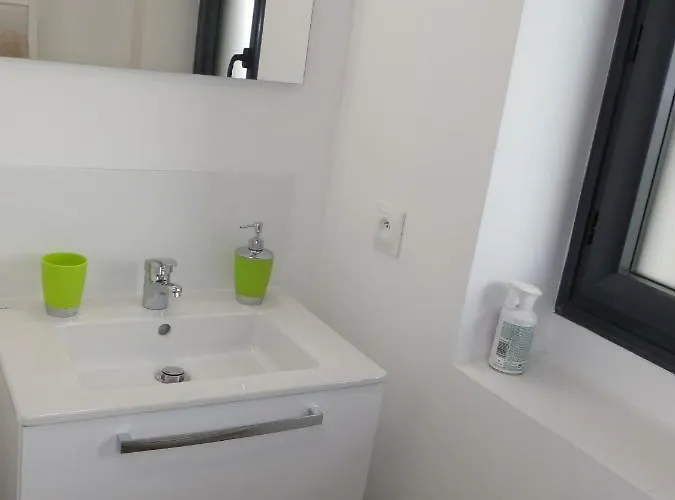 In 4 Proche Airbus A St Martin Du Touch טולוז